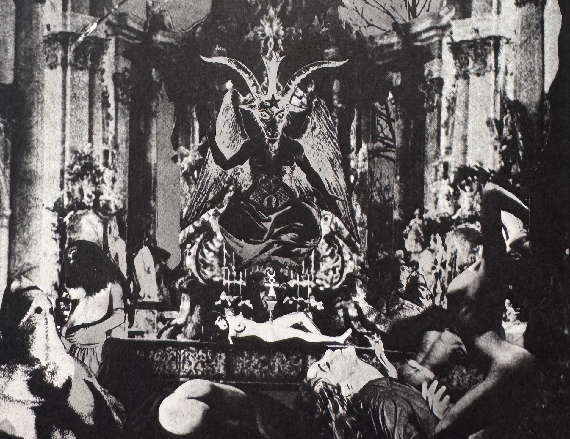 The Cult of America’s Largest Animal Rescue