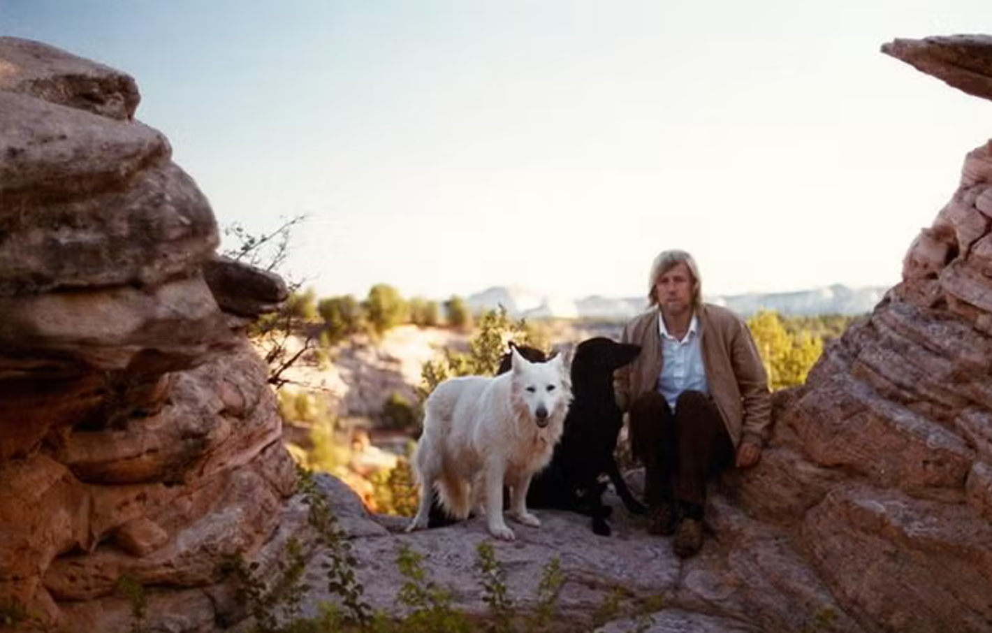 The Cult of America’s Largest Animal Rescue