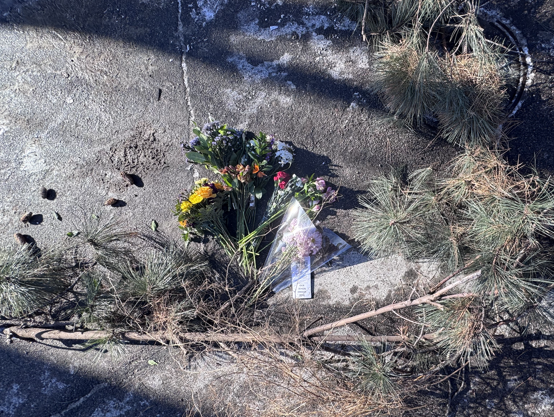 Flowers at the scene