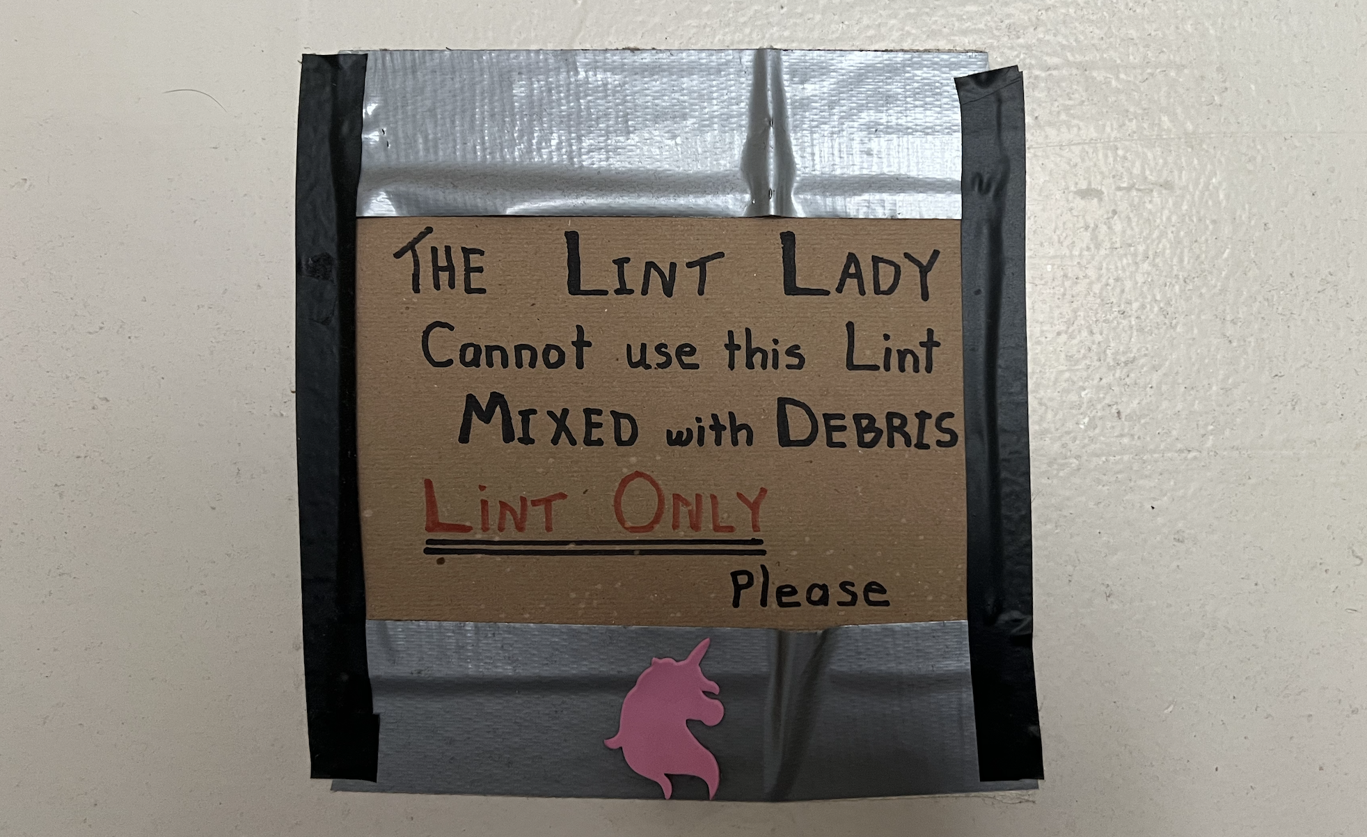“The lint lady cannot use this lint mixed with debris - LINT ONLY please”