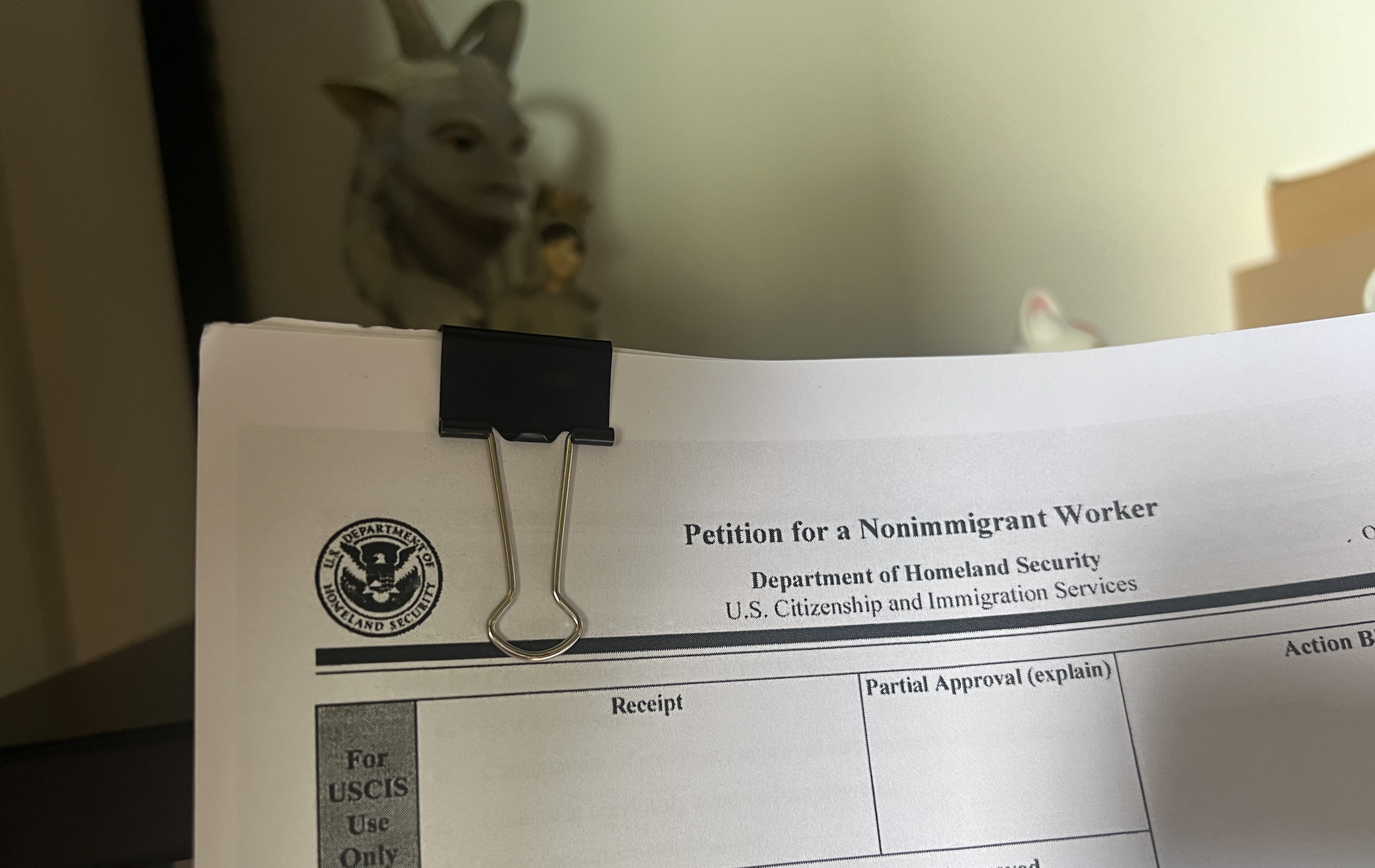 My Visa forms