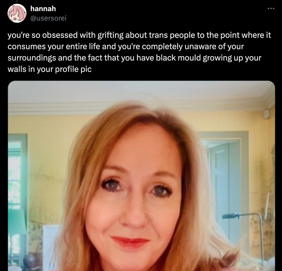 “@usersorei you're so obsessed with grifting about trans people to the point where it consumes your entire life and you're completely unaware of your surroundings and the fact that you have black mould growing up your walls in your profile pic”