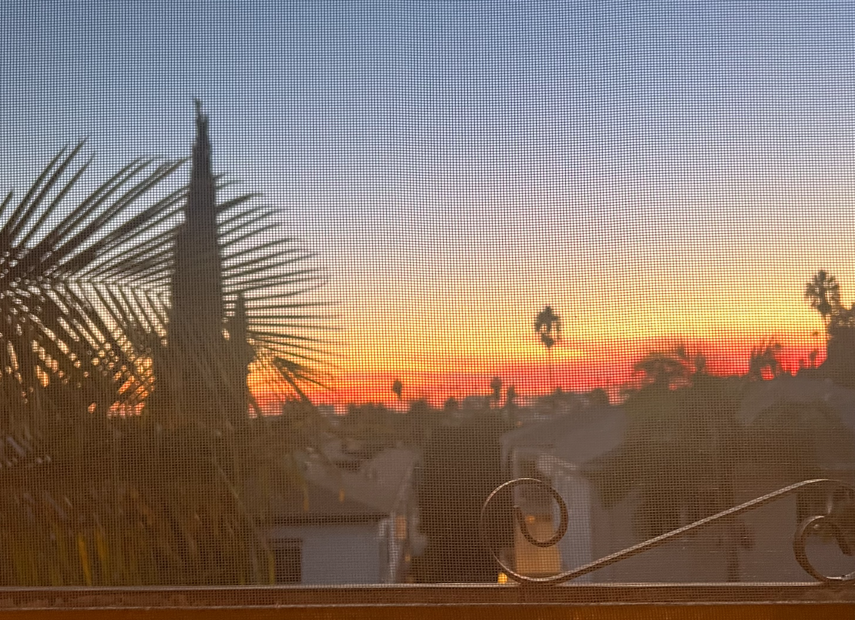 A sunset!