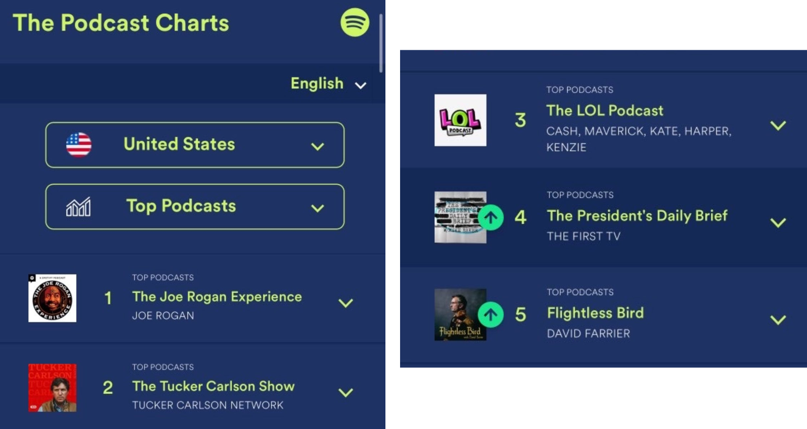 Flightless Bird sitting at number 5 on the US charts
