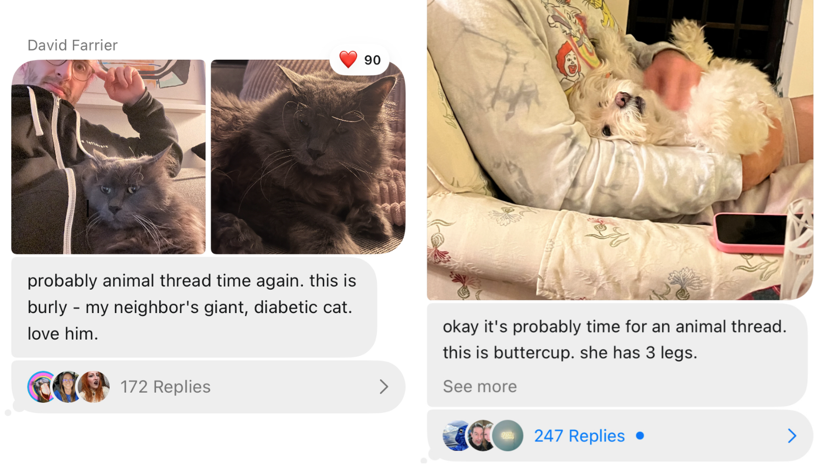 A pet thread I started showing a cute dog and cat!