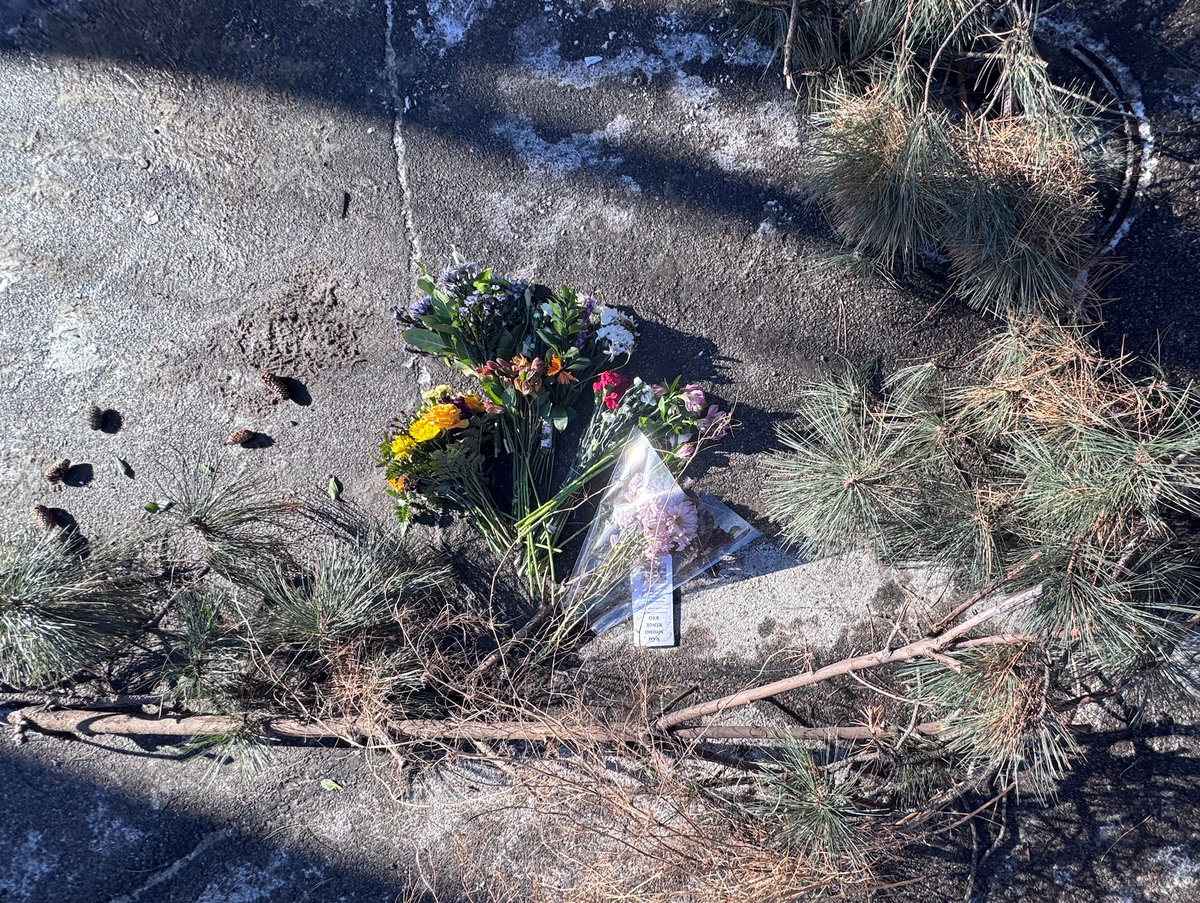 Flowers on the ground