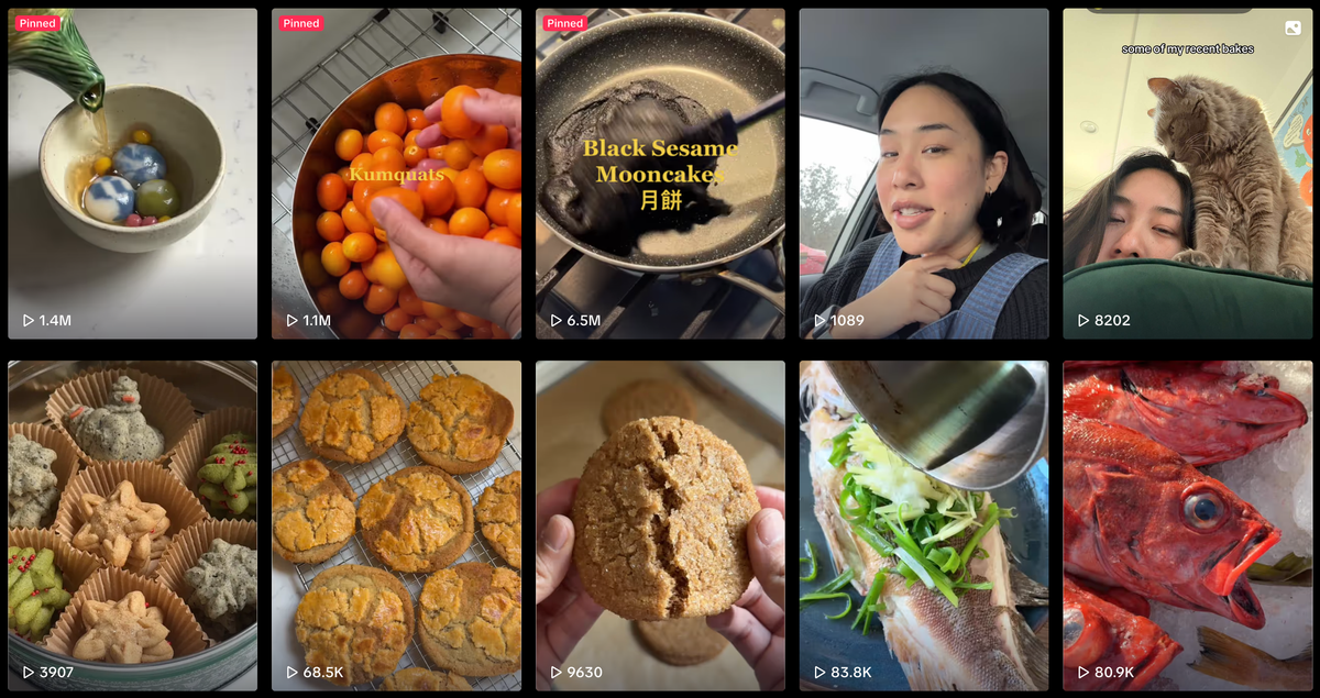 Why the TikTok Ban Was Just a Stunt