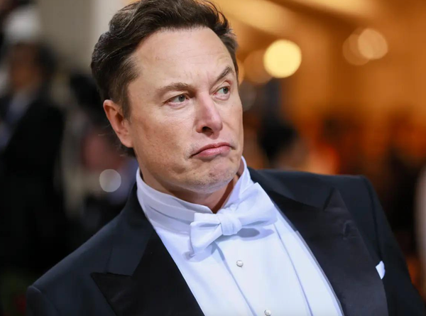 Elon Musk, Grok's creator