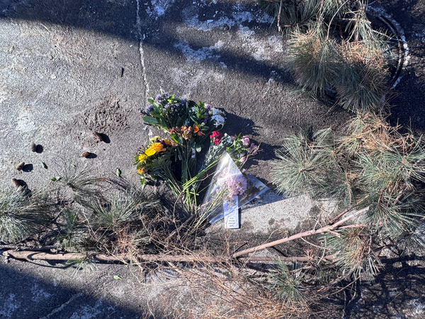 Flowers on the ground
