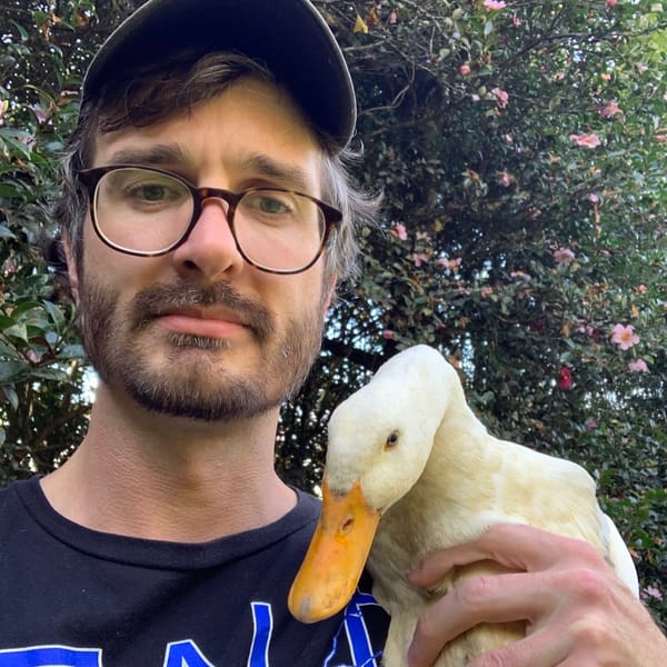 The future of Webworm, and how you can help!