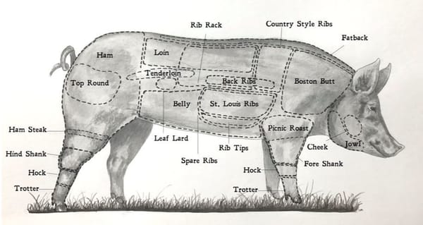 Dylan Attempts to Stop a Pig Butchering