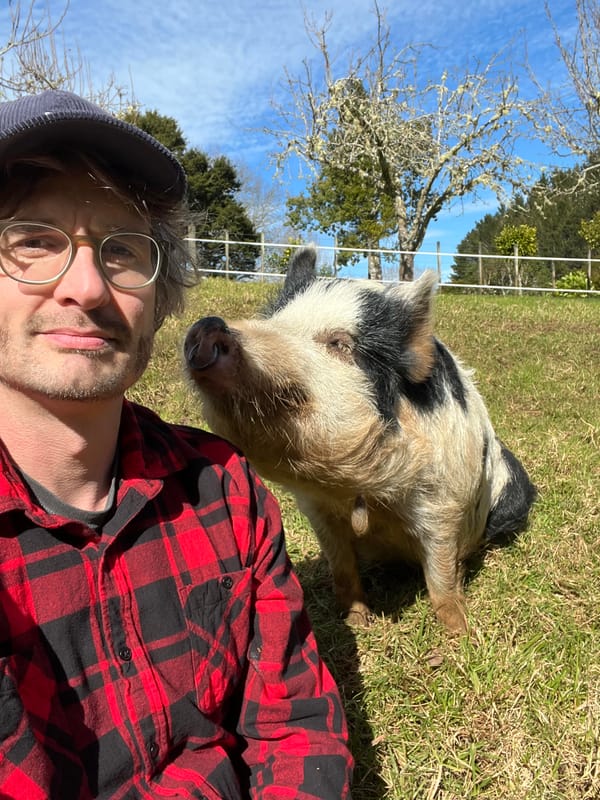Webworm Would Love Your Help!