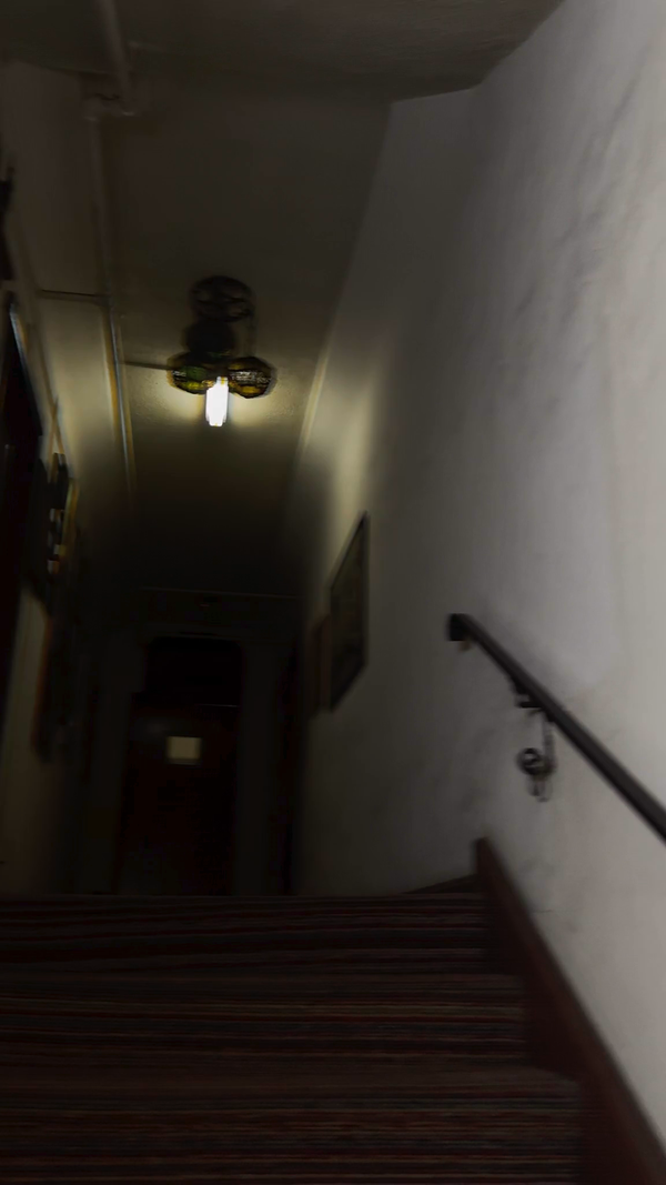 My House Is A Haunted House